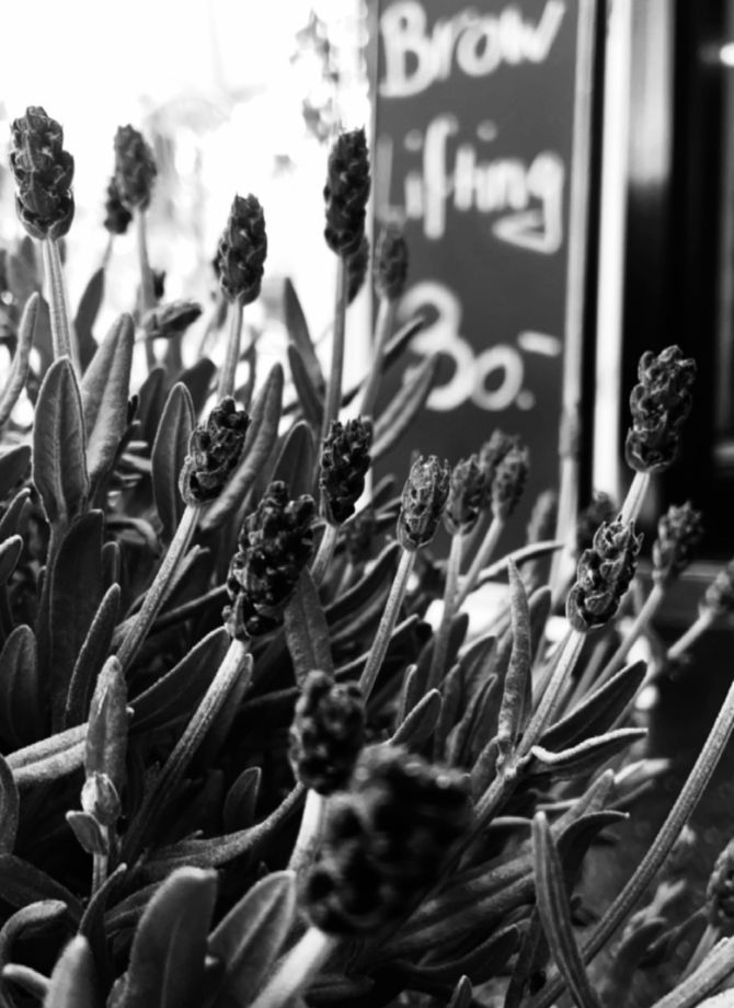 Lassen Sie sich inspirieren